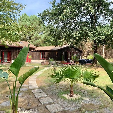 هورتين Hacienda De La Canopee Avec Piscine Chauffee Au Sel المظهر الخارجي الصورة