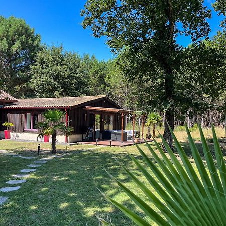 هورتين Hacienda De La Canopee Avec Piscine Chauffee Au Sel المظهر الخارجي الصورة